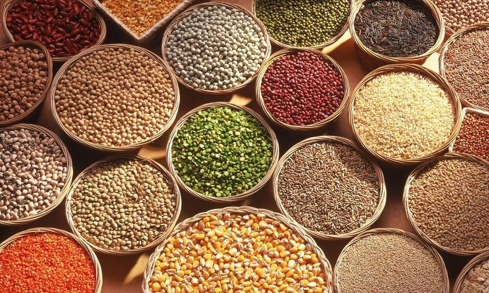 الحبوب والبقوليات